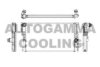 AUTOGAMMA 107161 Radiator, engine cooling